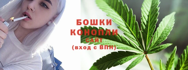 гидропоника Бородино