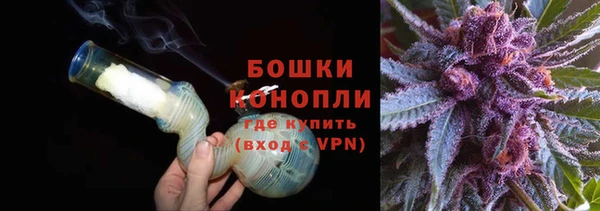 гидропоника Бородино
