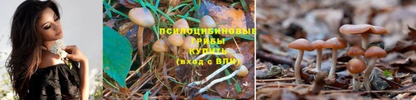 гидропоника Бородино