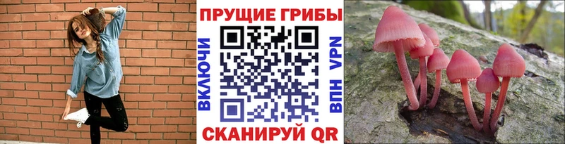 hydra ONION  Волоколамск  Псилоцибиновые грибы мухоморы 