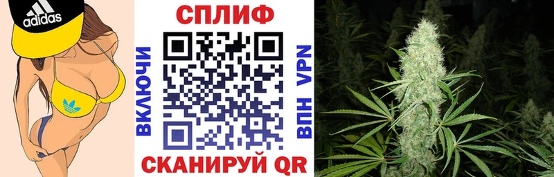 Конопля ГИДРОПОН Волоколамск